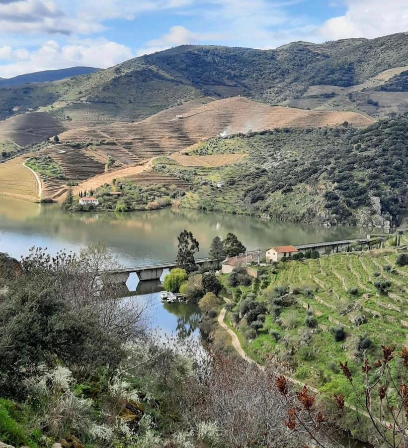 Quinta Da Ferradosa Wines Guest House São João da Pesqueira Екстериор снимка