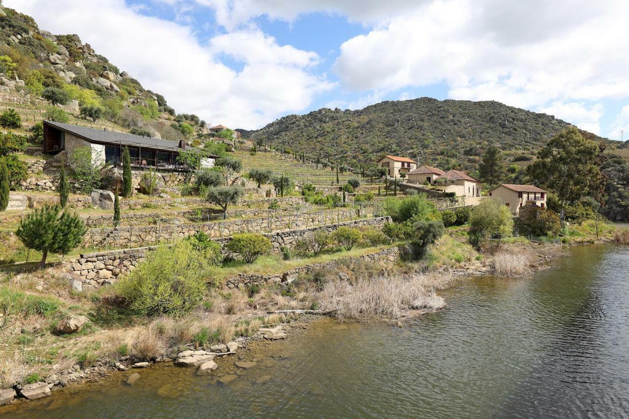 Quinta Da Ferradosa Wines Guest House São João da Pesqueira Екстериор снимка