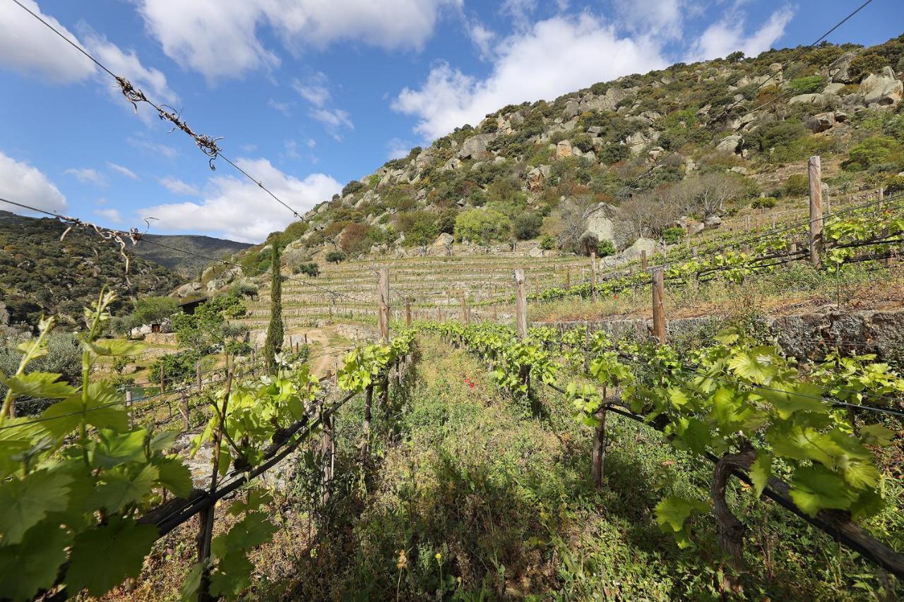 Quinta Da Ferradosa Wines Guest House São João da Pesqueira Екстериор снимка