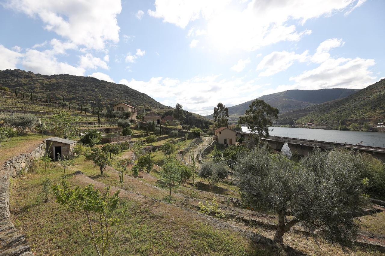 Quinta Da Ferradosa Wines Guest House São João da Pesqueira Екстериор снимка