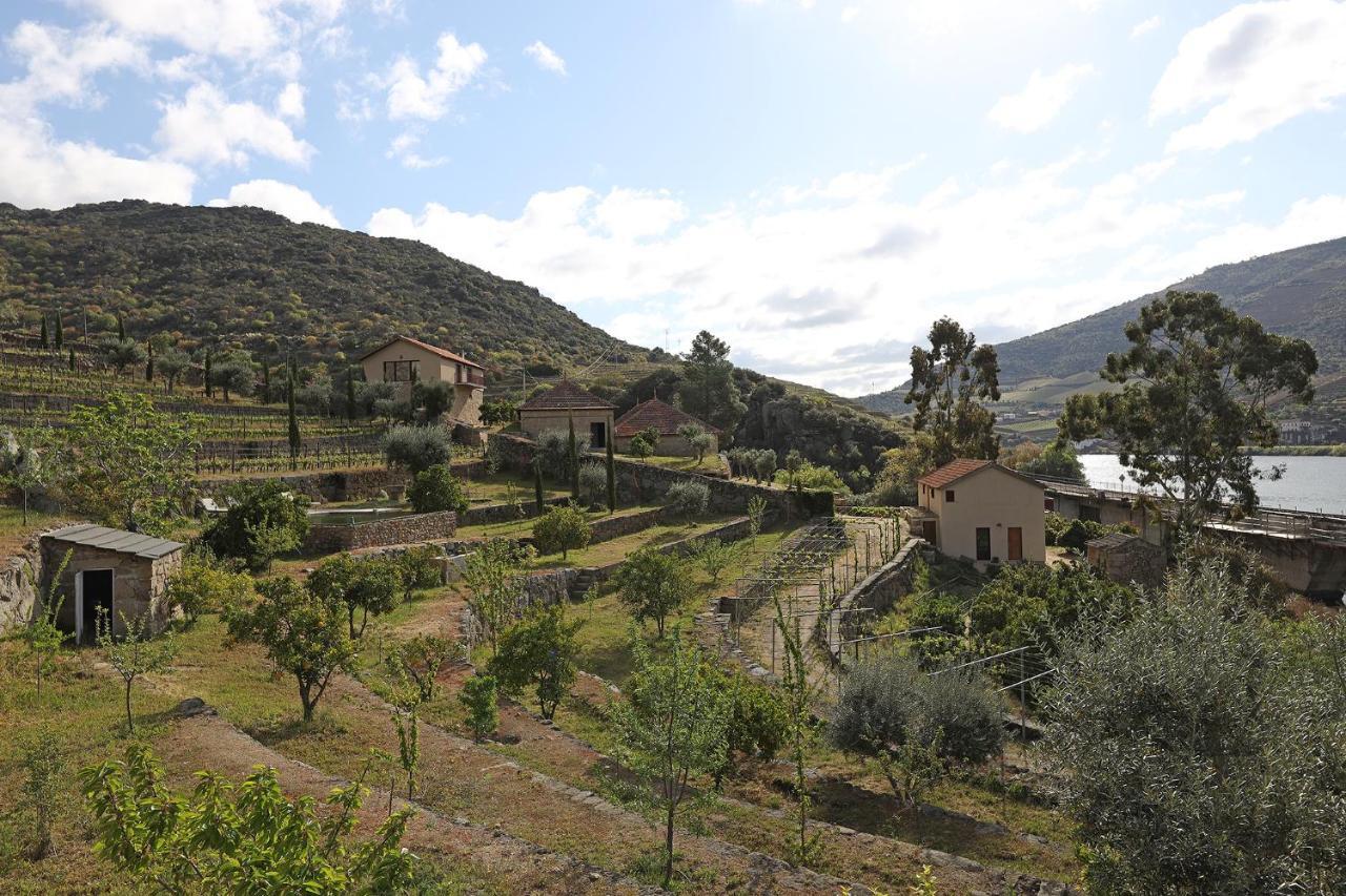 Quinta Da Ferradosa Wines Guest House São João da Pesqueira Екстериор снимка